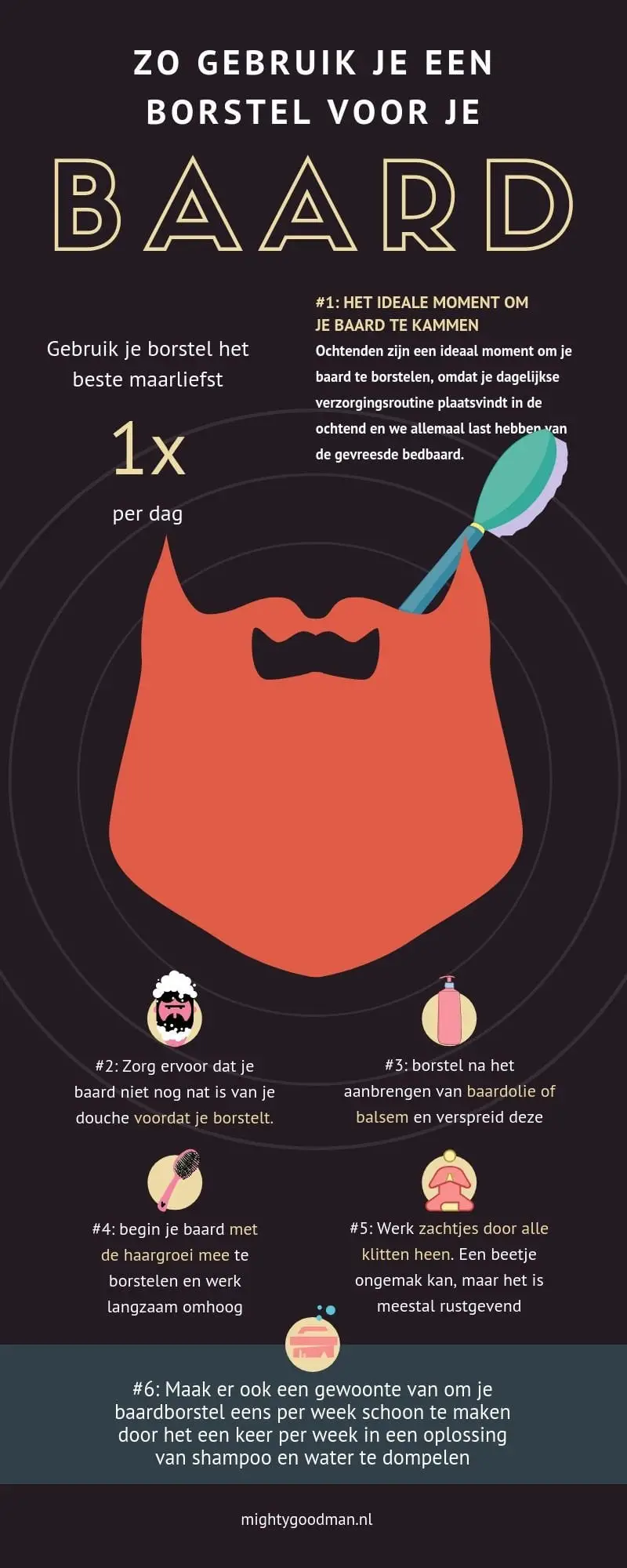 Zo gebruik je een borstel voor je baard infographic
